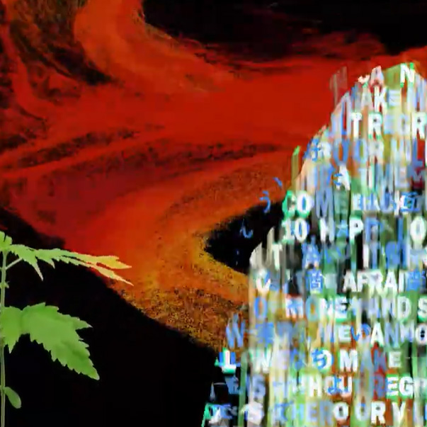 Transition and Assimilation